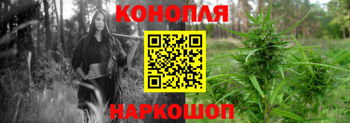 Бошки Шишки план  Канабис White Widow  Бошки марихуана планчик  Вход с VPN  Удомля 